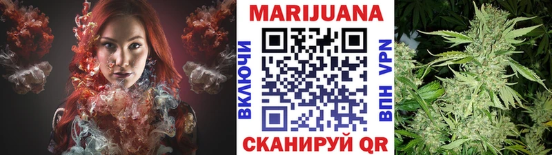 Каннабис сатива Бабушкин